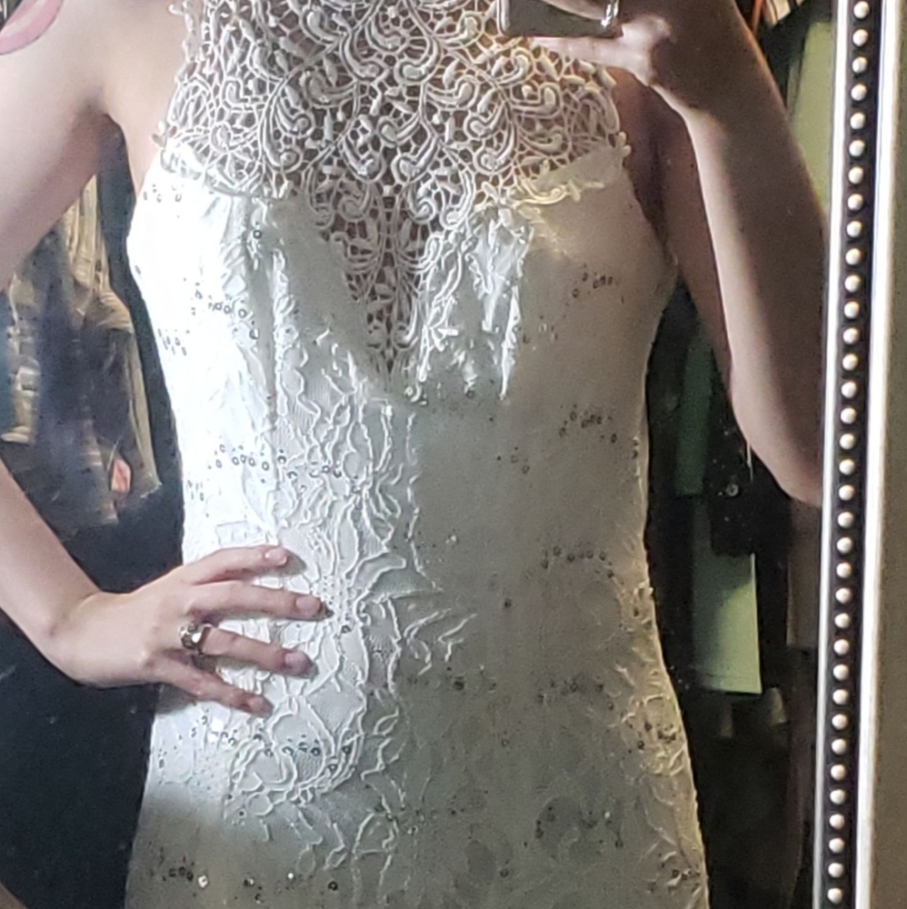 LACE PROM/BRIDAL DRESS - Picture 4 of 12
